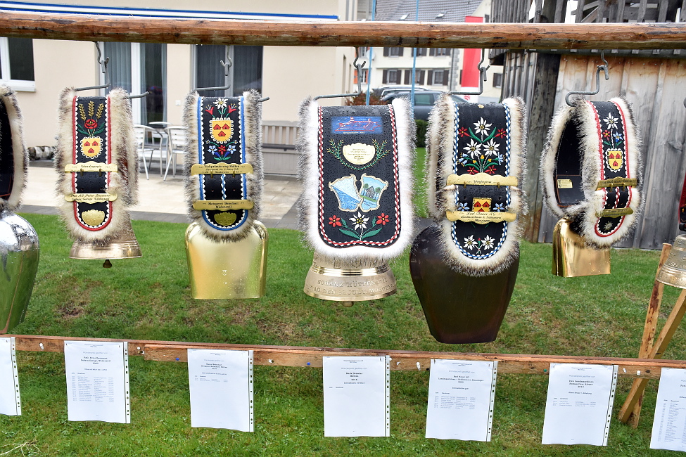 Viehschau Hütten 2016