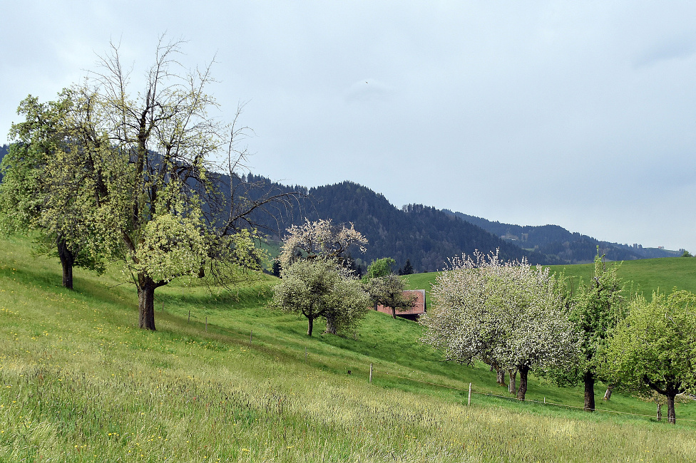 Wetterkapriolen April 2017