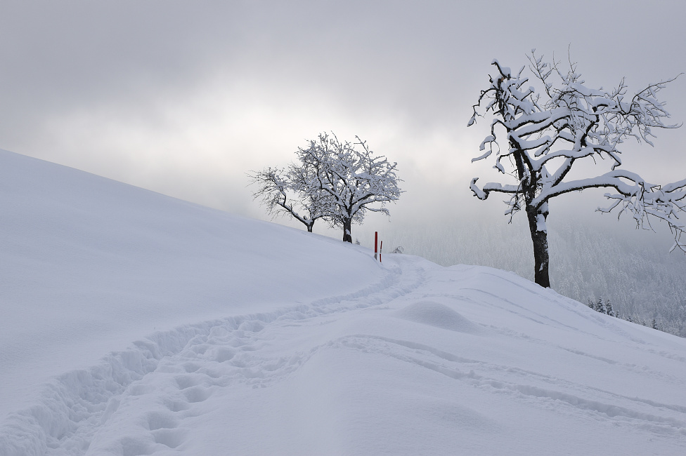 Winterimpressionen2019